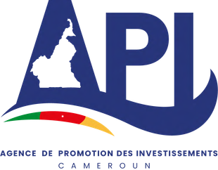 Agence de Promotion des Investissements (API)
